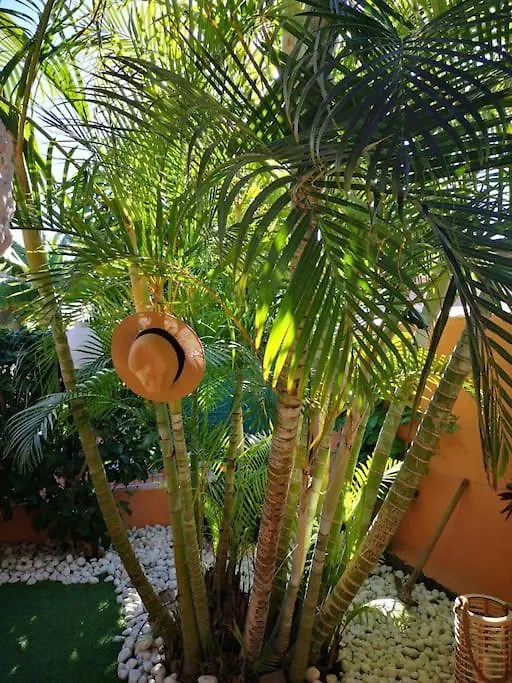 Wohlfuehloase In Maspalomas Ferienhaus